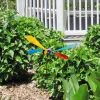 Discount Think Outside Barnyard Kimberley Dragonfly