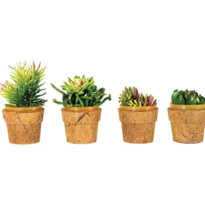 Hot Think Outside Cocopots Mini Heaven (Set of 4)