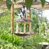 Online Think Outside Kalinda Birdfeeder